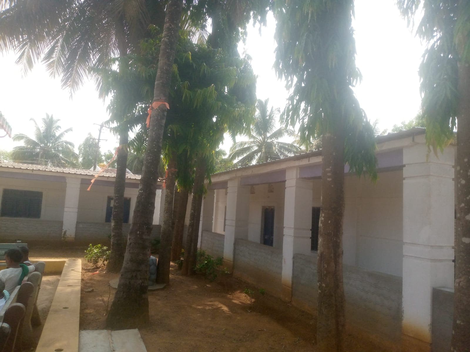 Supporting government schools